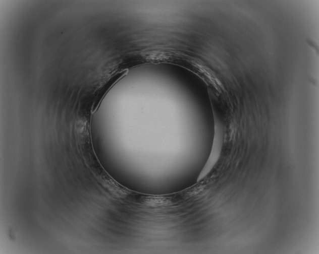 X0000091310521200708311359