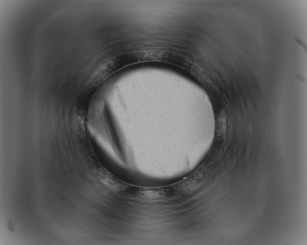 X0000091310522200708311359