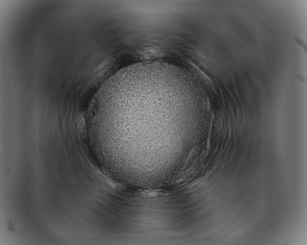 X0000091310523200708311359