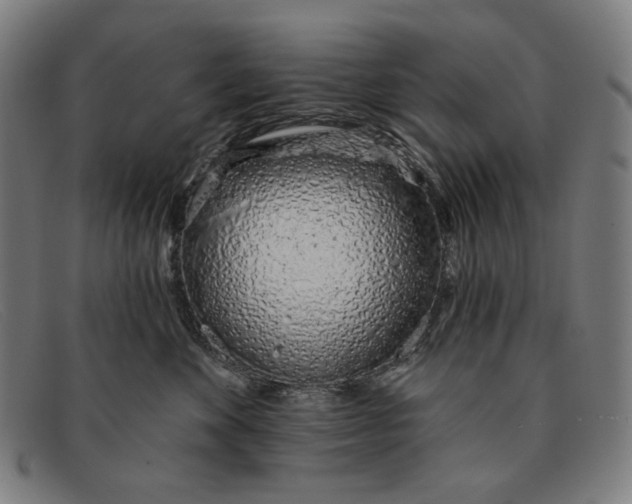 X0000091310524200708311359