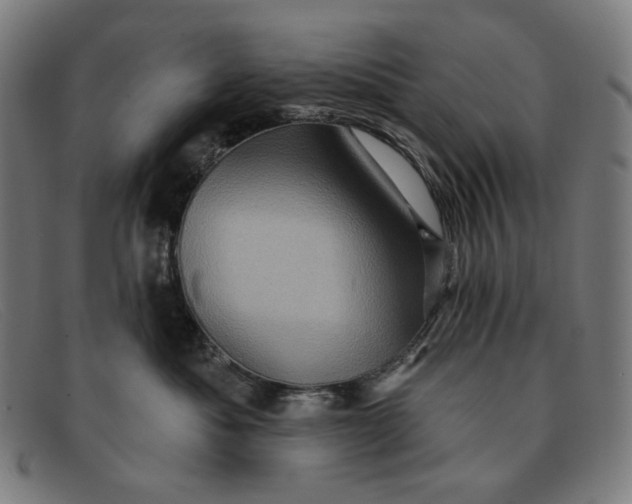 X0000091310525200708311359