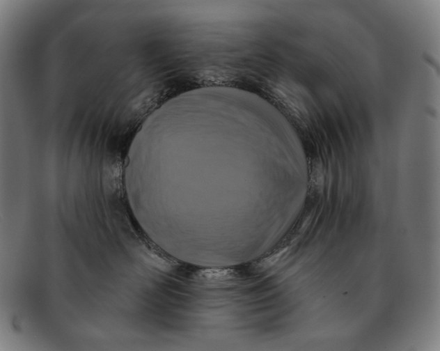 X0000091310526200708311359