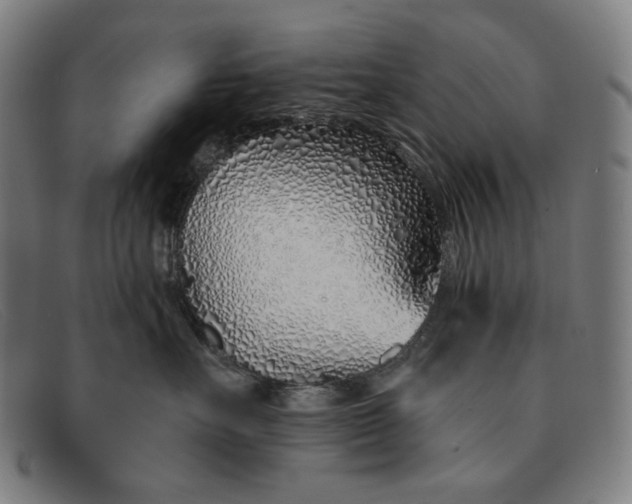 X0000091310527200708311359