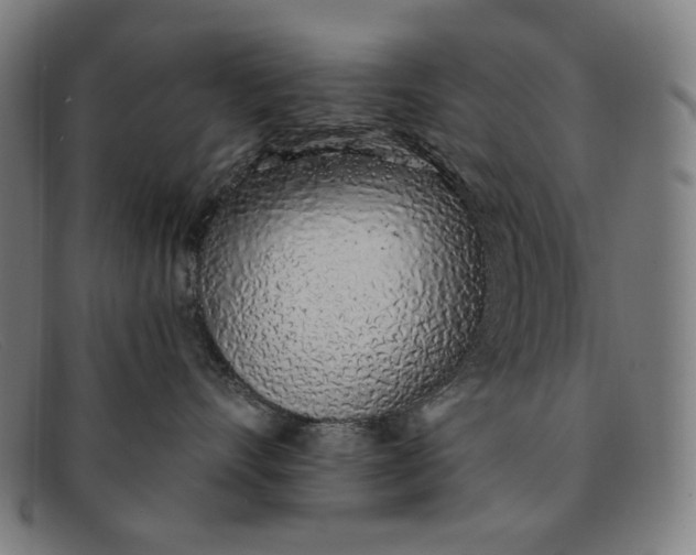 X0000091310528200708311359