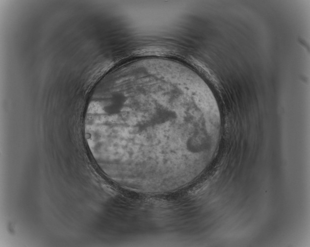 X0000091310529200708311358