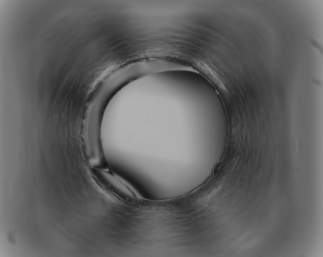 X0000091310530200708311358