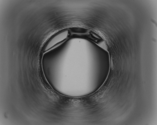 X0000091310531200708311358