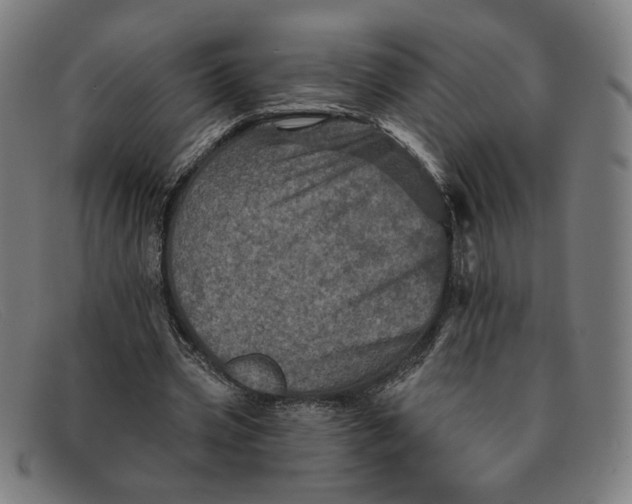 X0000091310533200708311358