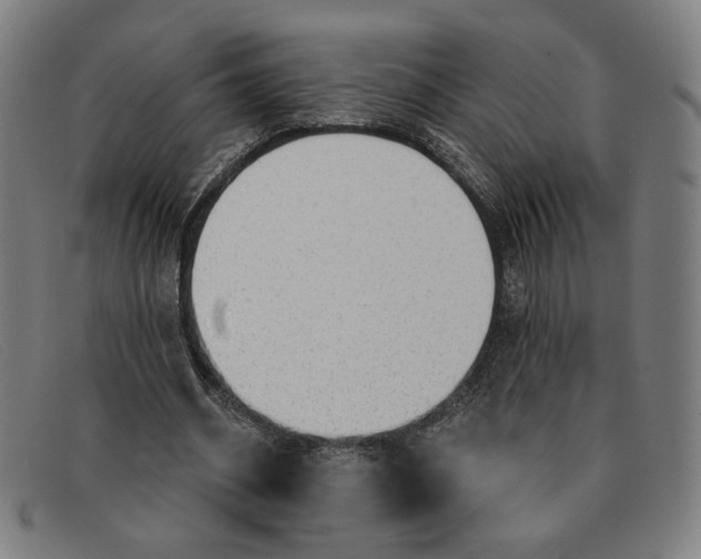 X0000091310534200708311358