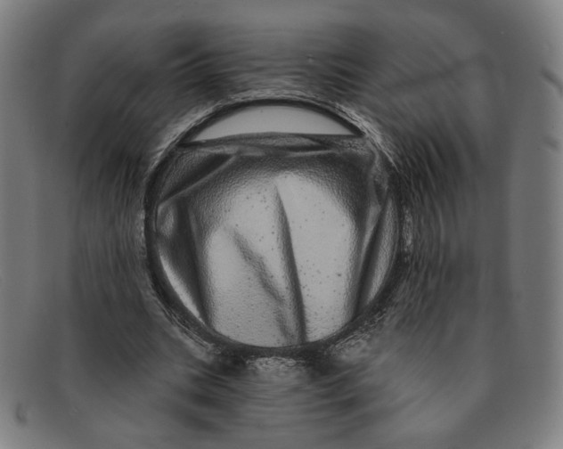 X0000091310535200708311358