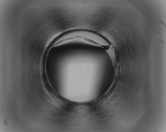 X0000091310536200708311358