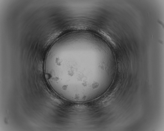 X0000091310537200708311358