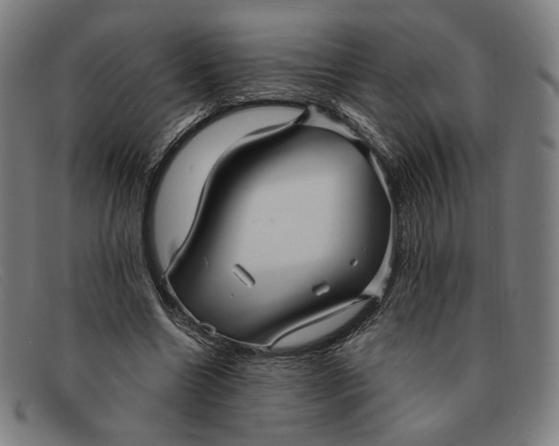 X0000091310538200708311358