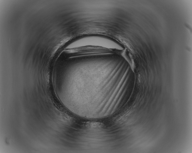 X0000091310539200708311358