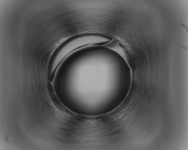 X0000091310540200708311358