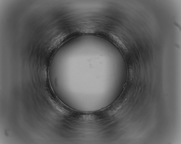 X0000091310541200708311358