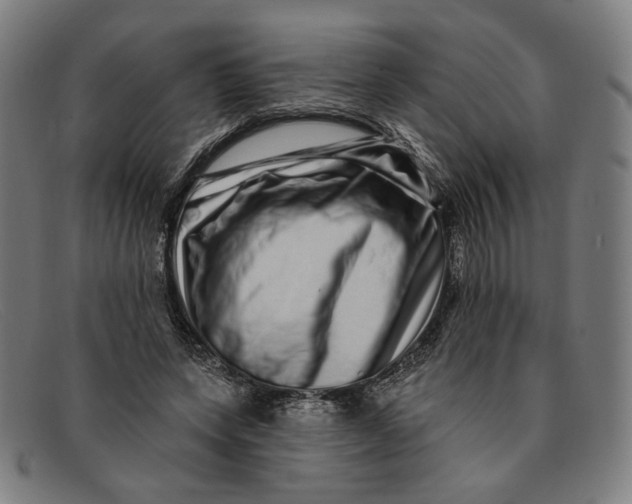 X0000091310543200708311358