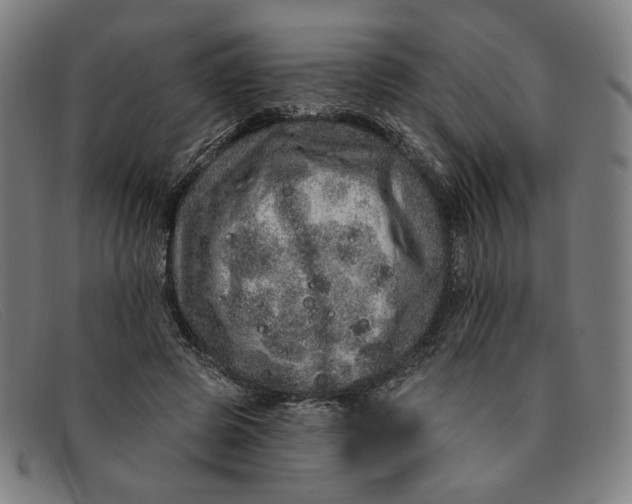 X0000091310545200708311359