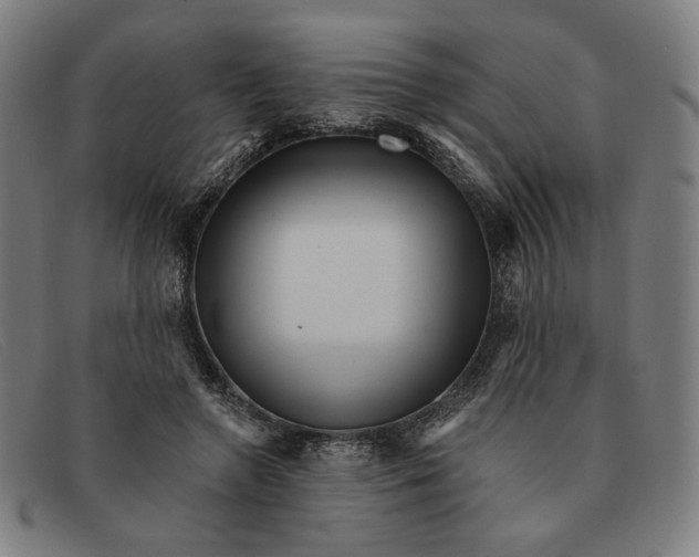 X0000091310546200708311359