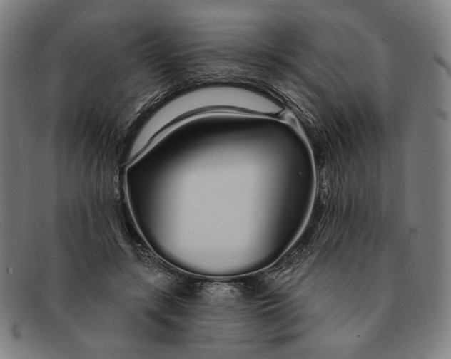 X0000091310547200708311359