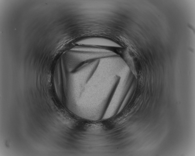 X0000091310548200708311359