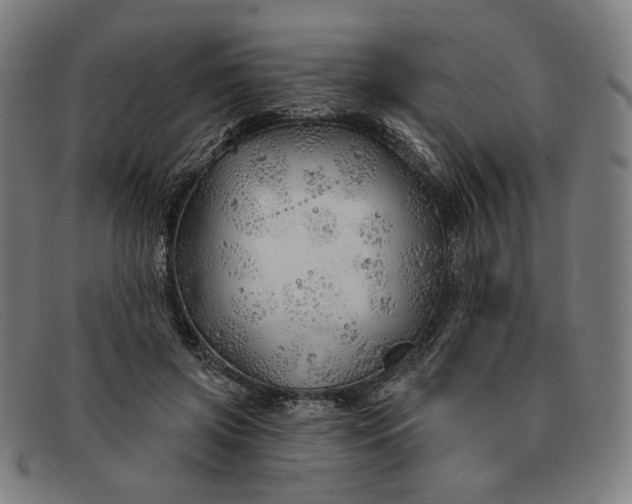 X0000091310549200708311359