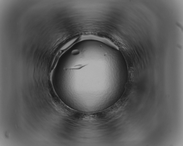 X0000091310550200708311359