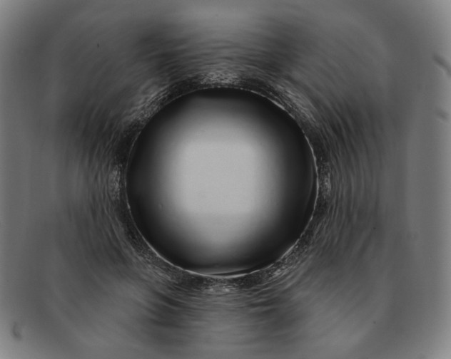 X0000091310551200708311359