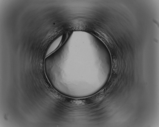 X0000091310553200708311359