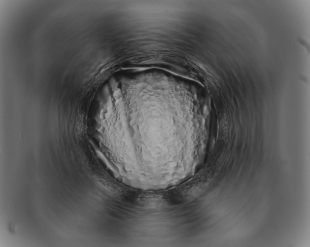 X0000091310554200708311359