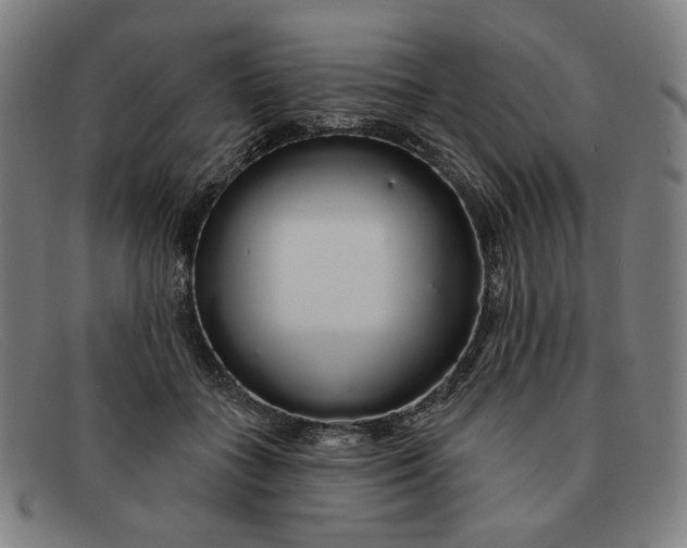 X0000091310555200708311359