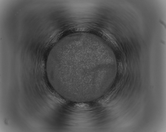 X0000091310557200708311359