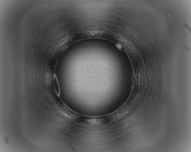 X0000091310558200708311359