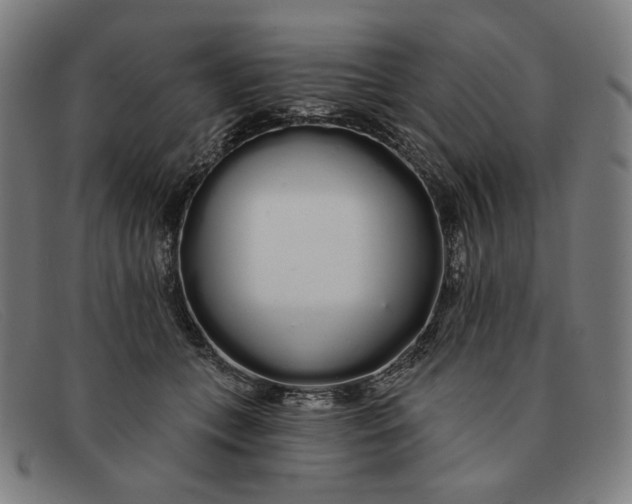 X0000091310559200708311359