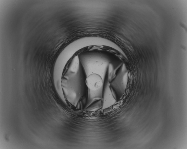 X0000091310560200708311359