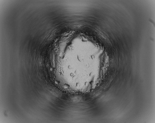 X0000091310561200708311359