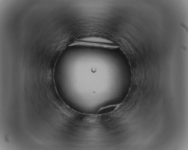 X0000091310563200708311359