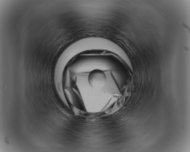 X0000091310564200708311359