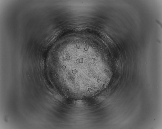 X0000091310565200708311359