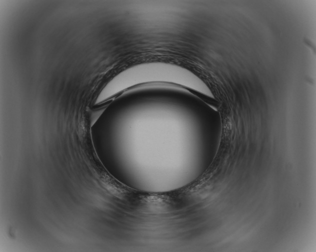 X0000091310566200708311359