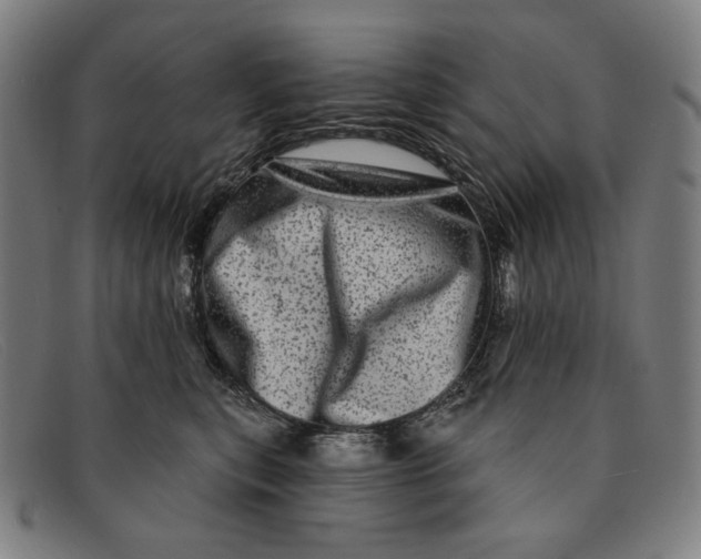 X0000091310567200708311359