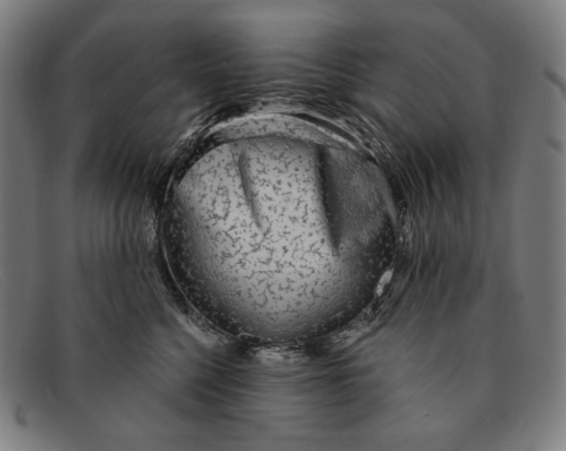 X0000091310568200708311359