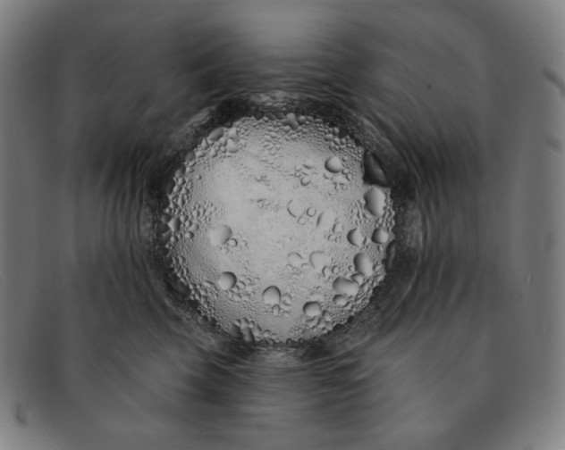 X0000091310569200708311359