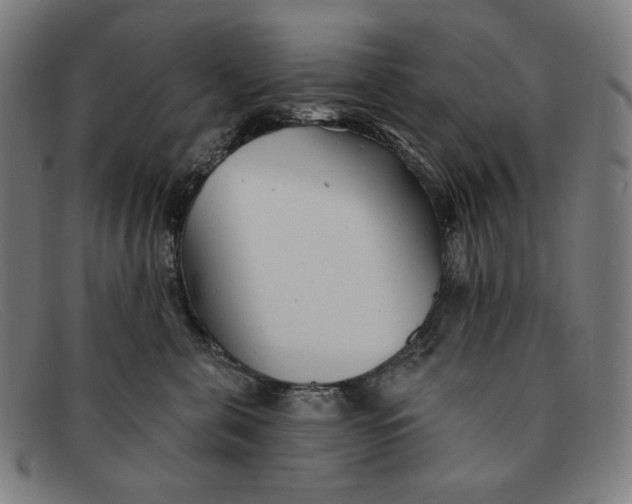 X0000091310571200708311359