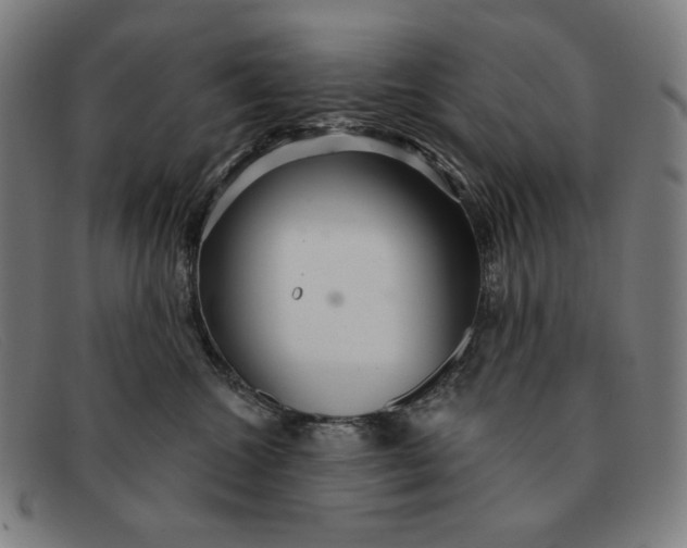 X0000091310572200708311359