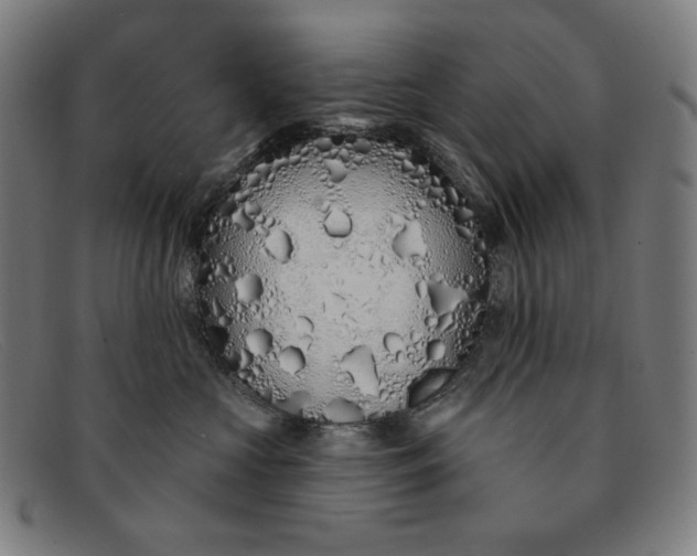 X0000091310573200708311359