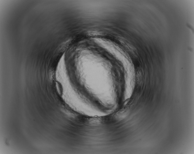 X0000091310574200708311359