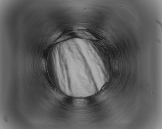 X0000091310575200708311359