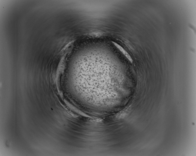 X0000091310576200708311359