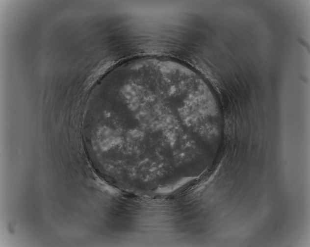 X0000091310577200708311358